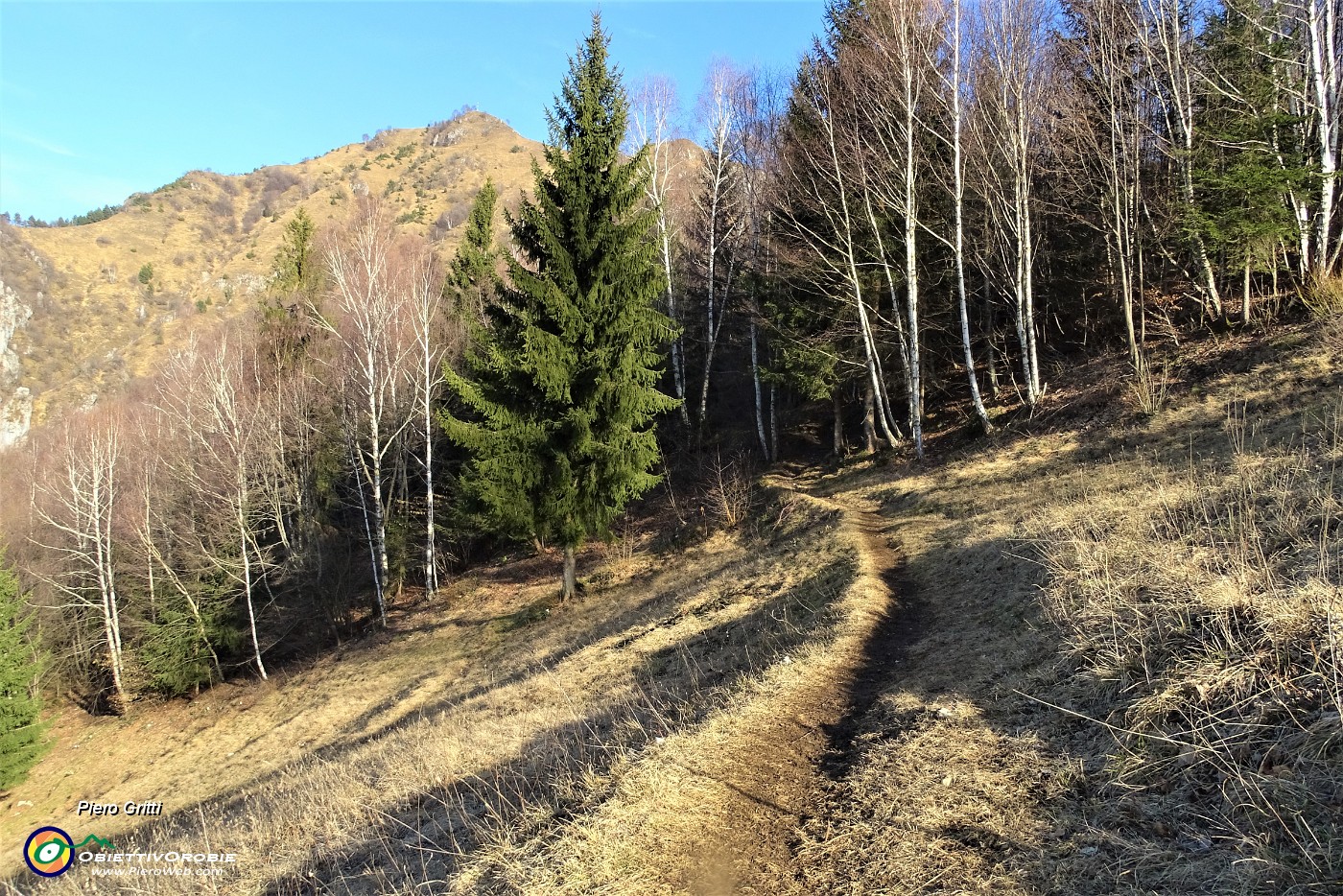 16 Alla Forcella di Spettino (1073 m) ben visibile il sentiero 598 per il Monte Gioco.JPG
